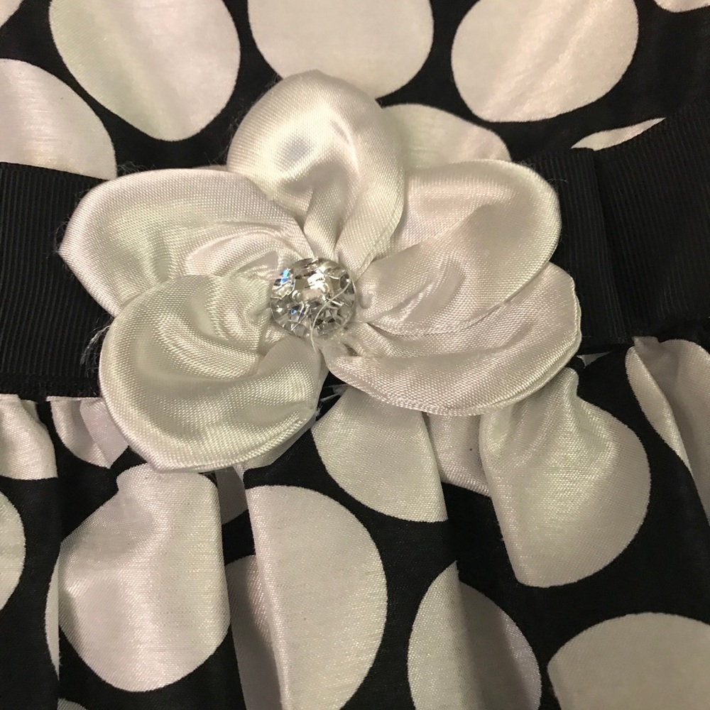 🎉 HOST PICK! 🎉 👗 GUC Youngland Toddler 5T Girls Formal Dr… - Picture 3 of 6